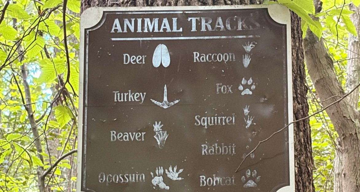 Animal Track Sign