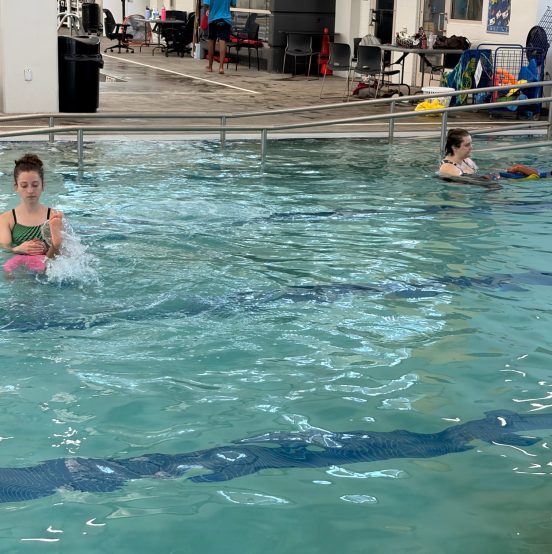 Swim Lessons