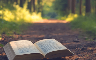 Reading
