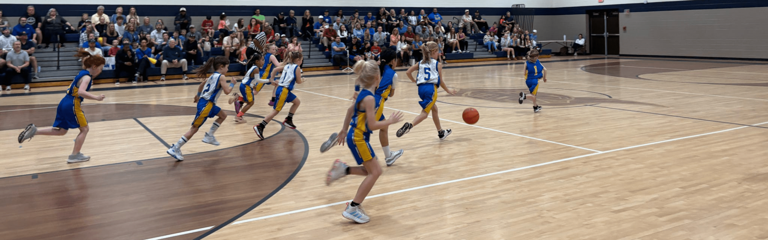 girls playing basketball