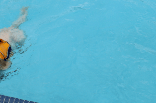 Dog pool event at Oasis