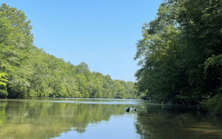 Yellow Creek Conservation Property