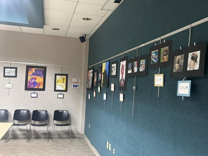 Display Exhibit