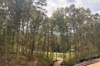 Yellow Creek Road CAT View