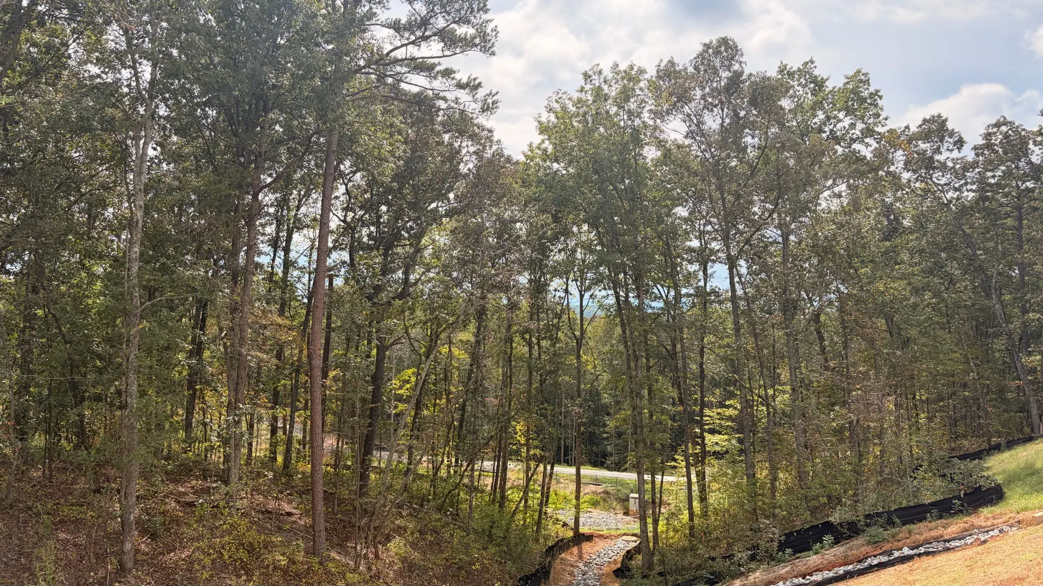 Yellow Creek Road CAT View